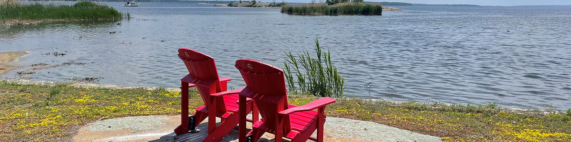 Red chairs in the forest