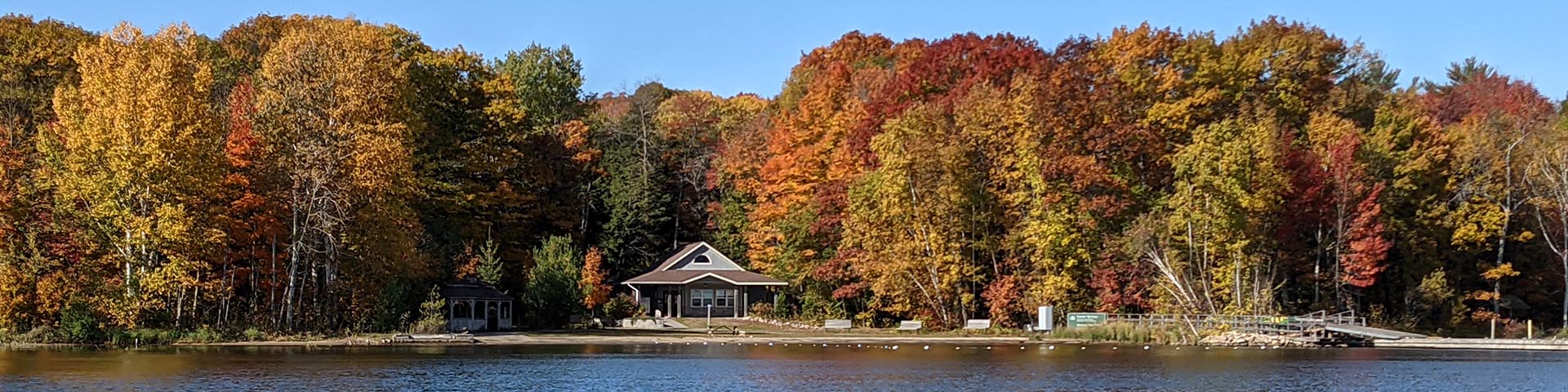 Fall coloured leaves along the shoreline