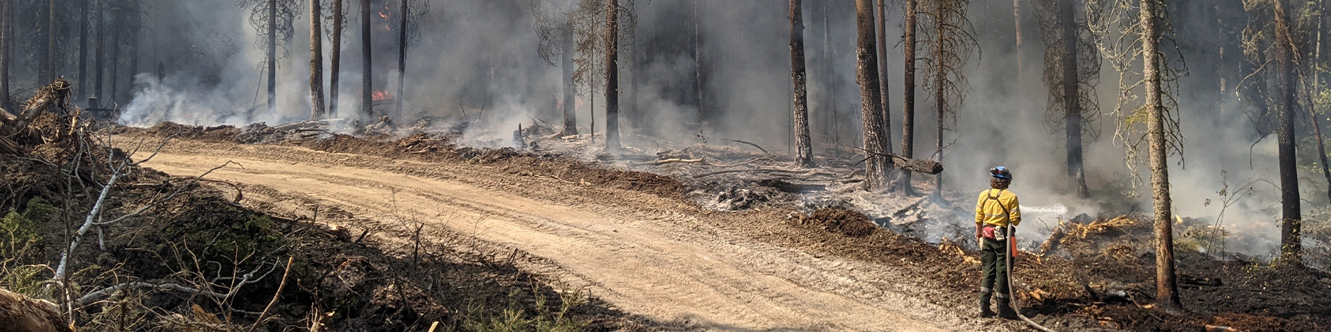 A firefighter sprays water on a wildfire from a dozer line