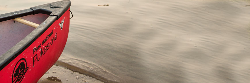 The front of a canoe.