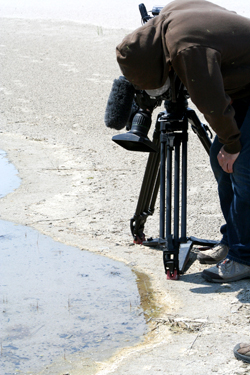 Getting some close ups