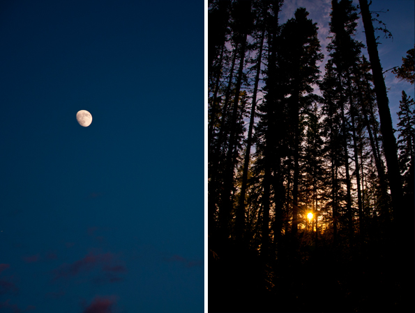 The natural light of the night sky.