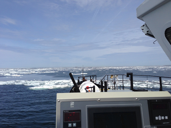 Glace lacustre restante dans la baie Whitefish, lac Supérieur