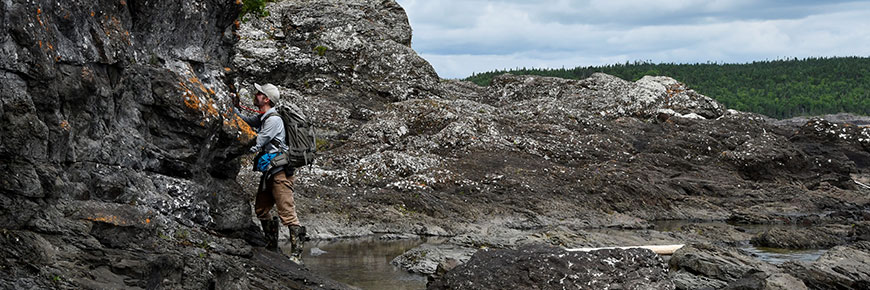 Le botaniste Sam Brinker examine les communautés végétales du littoral de l’île Brodeur.