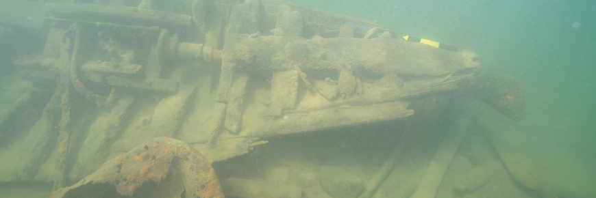 Shipwreck remains at Pringle Bay near Edward Island