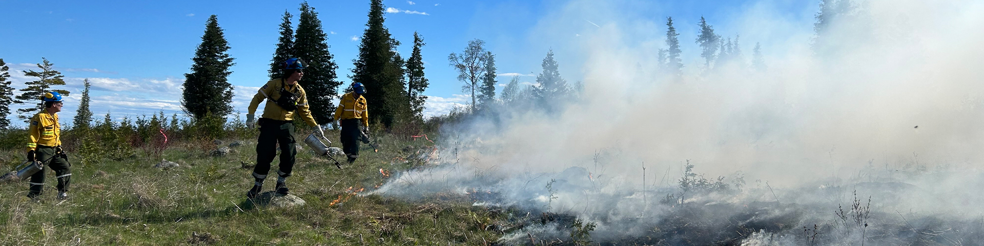 The fire team uses drip torches to complete the prescribed burn.