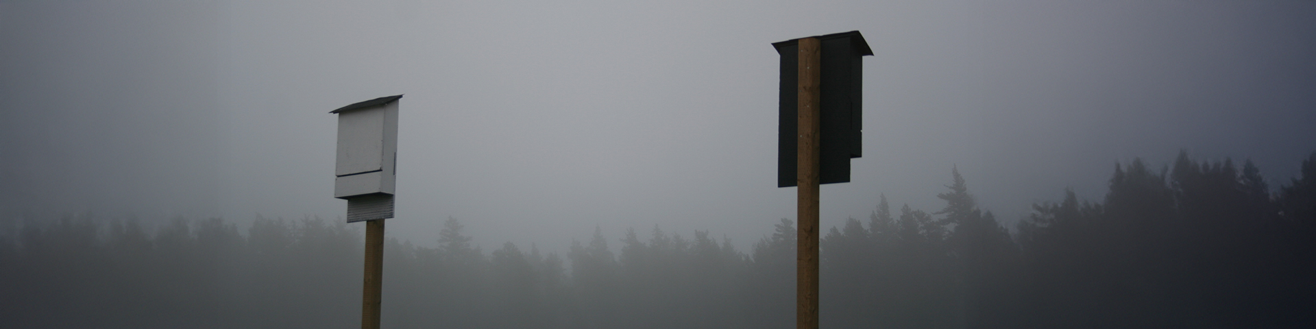 Bat Boxes on stands