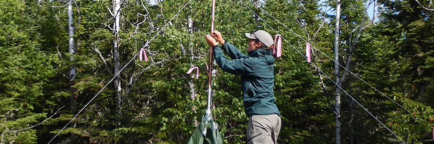 Snapping Turtle eDNA water sampling at Pukaskwa National Park