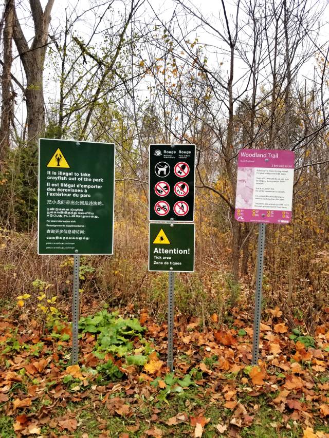 Three signs in a wooded area with fallen leaves