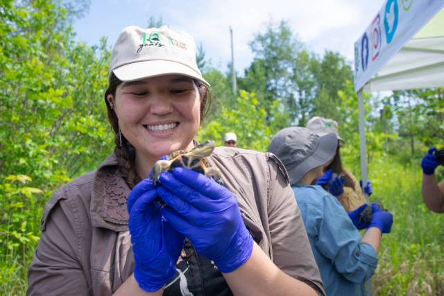 A smiling person wearing a beige cap and blue gloves holds a small Blanding's turtle in an outdoor setting. Others in the background are also engaged in the activity, wearing hats and gloves. 