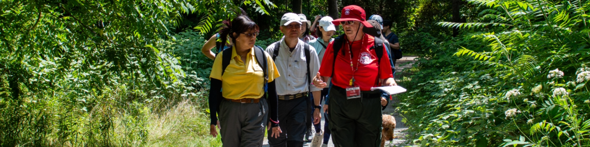 A group of people walking on a forest trail surrounded by lush green vegetation, wearing casual outdoor clothing.