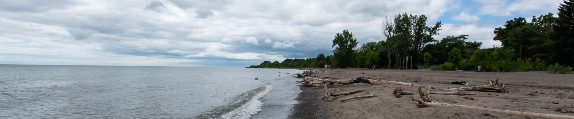 A panoramic view of Rouge beach with calm waters, driftwood on the shore, and a cloudy sky.