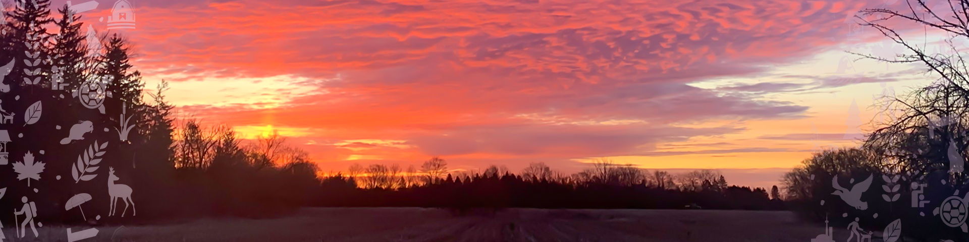 A sunrise with vibrant reds, oranges and purples over a dark forest landscape. 