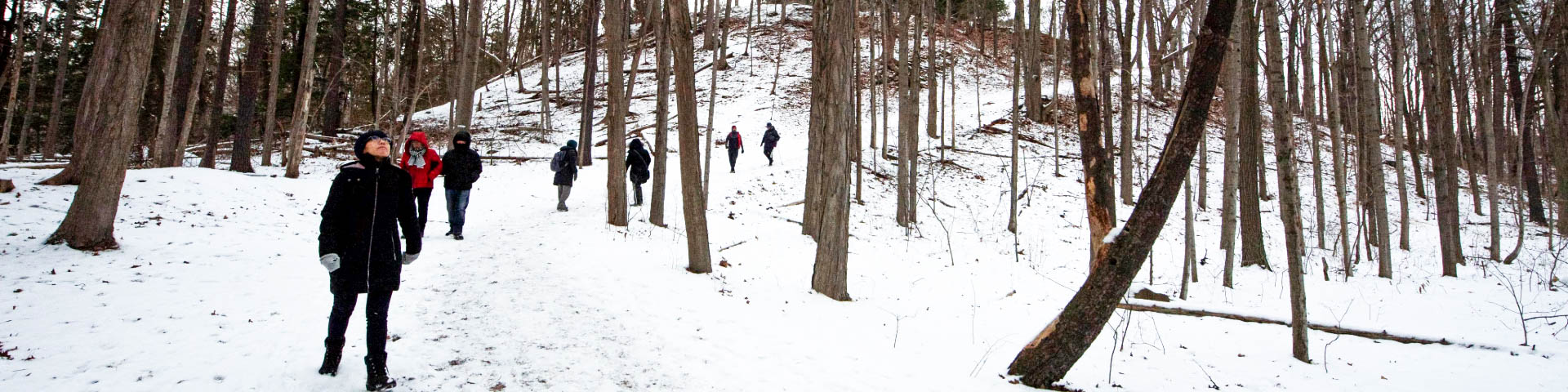 People in colorful jackets and umbrellas walk through a leaf-covered forest during a fall guided tour at Rouge National Urban Park.