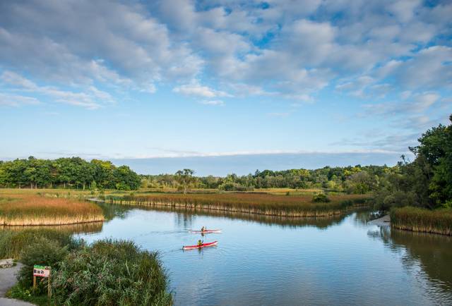 Serene paddle through Rouge Marsh