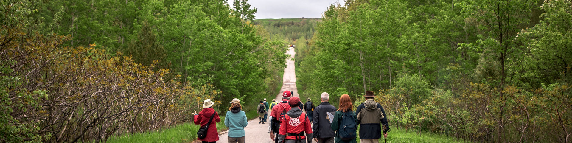 Guided walk participants hike trail with lush green forest