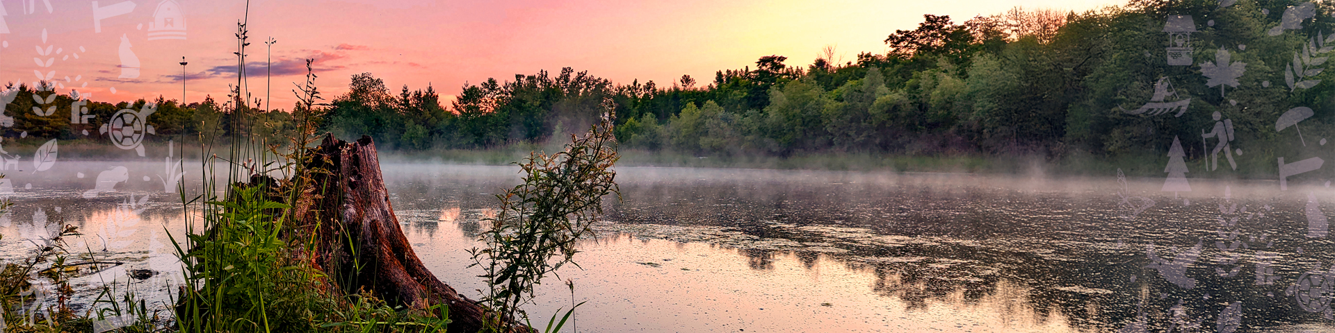 A serene lakeside scene at dawn with a tree stump in the foreground, surrounded by lush green plants. The lake is calm with a light mist hovering over the water, reflecting the pink and orange hues of the sunrise. Dense trees line the far shore under a clear sky.