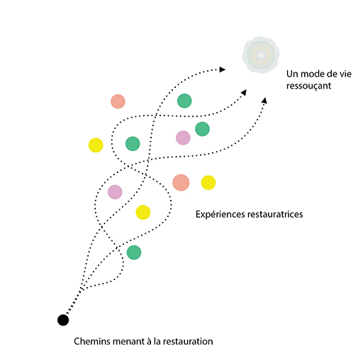 Un graphique qui montre qu’il existe de nombreux chemins tissés vers la restauration le long de diverses expériences de restauration vers l’objectif d’une vie restauratrice