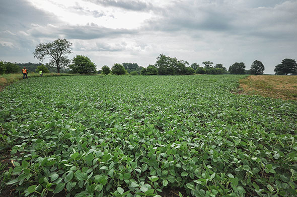 Agriculture