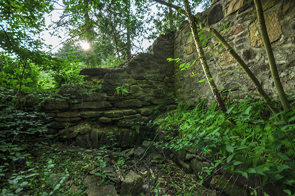 Forest landscape with an old structure