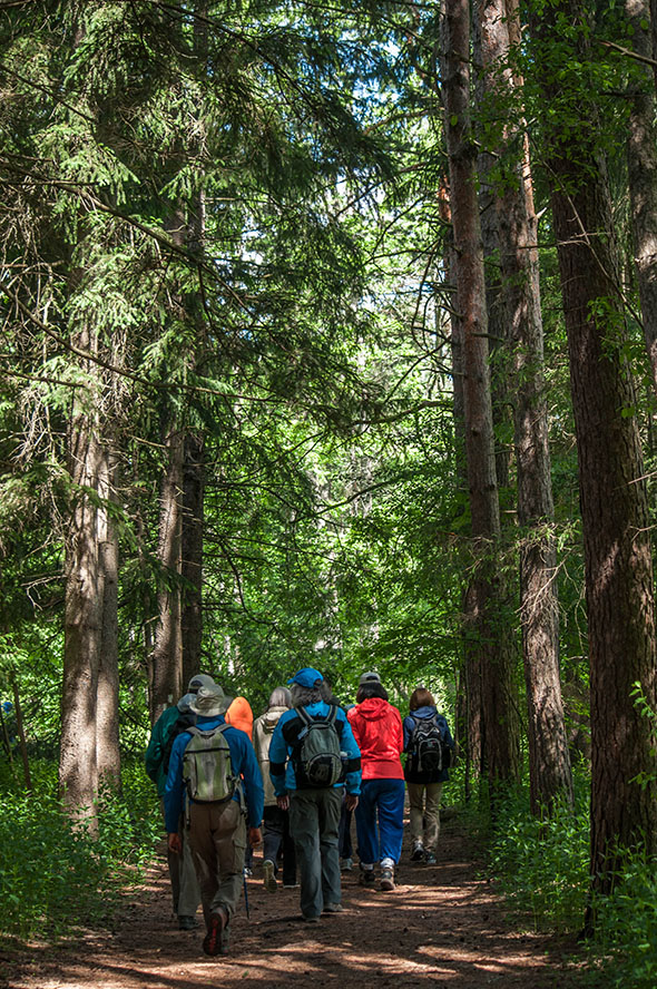 Guided Hikes