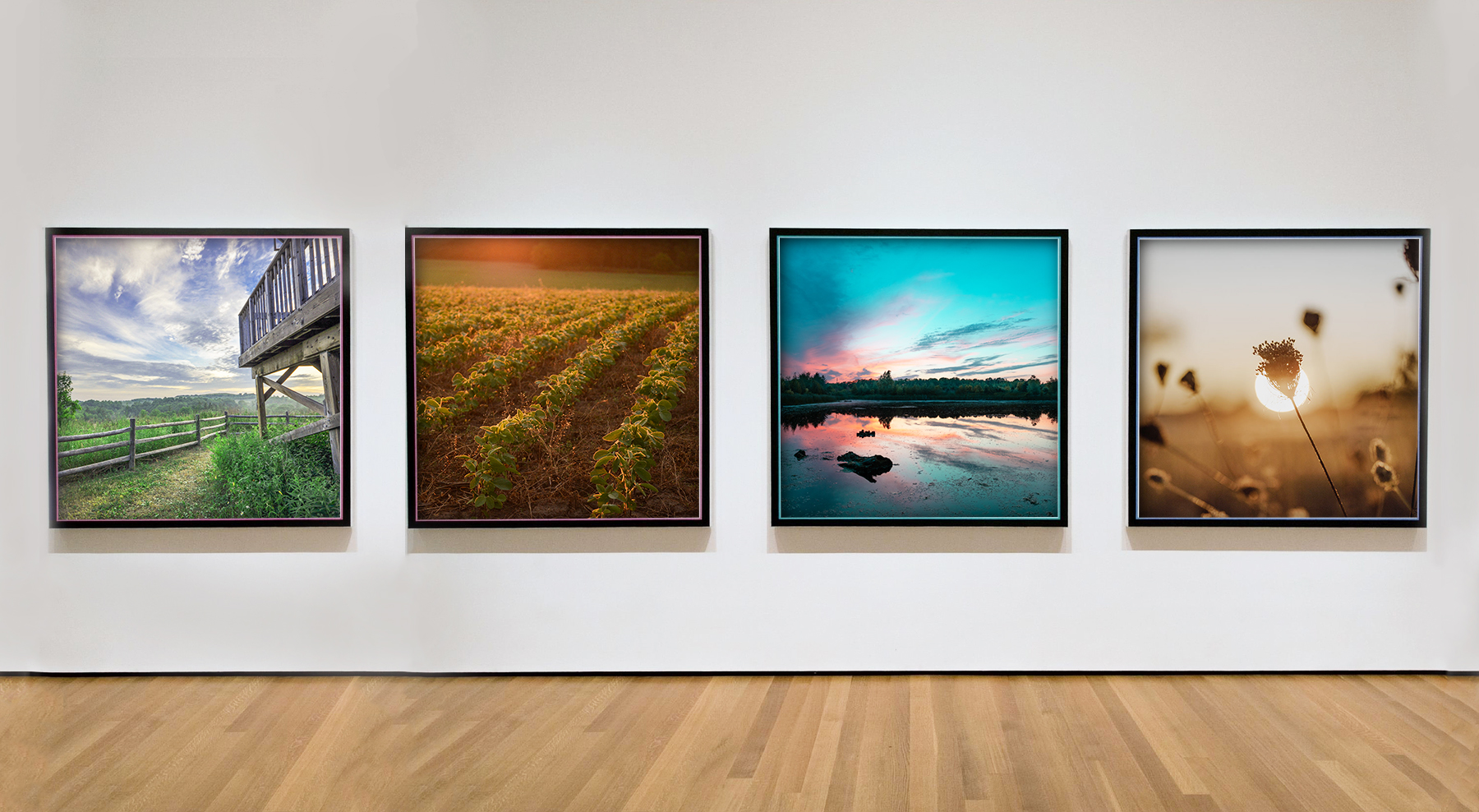 La galerie d’art virtuelle 