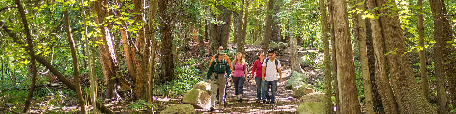 A Parks Canada guide wearing a green shirt leads a 4 adults through a forested trails with sunshine peeking through the leaves. 