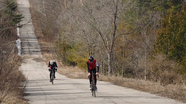 Two cyclists on a long paved road surrounded by bare trees on a sunny fall day.