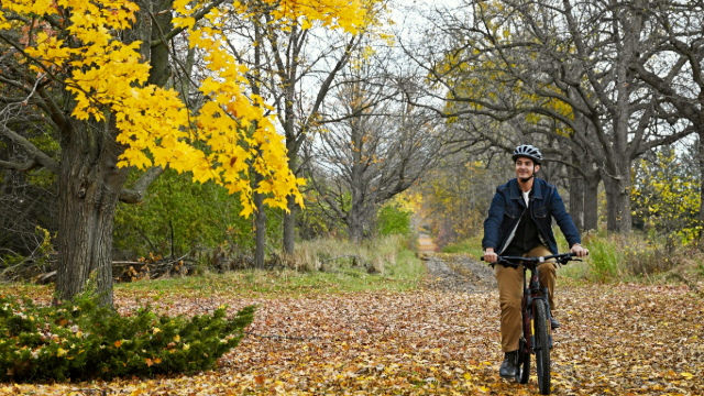 A person cycling on a leaf-covered path surrounded by fall colours at Rouge National Urban Park.