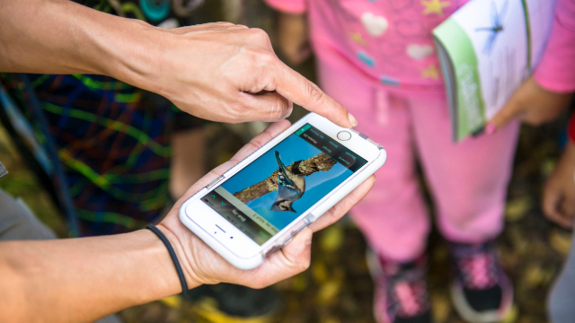 A person holding a smartphone displaying a bird image during a nature activity at Rouge National Urban Park.