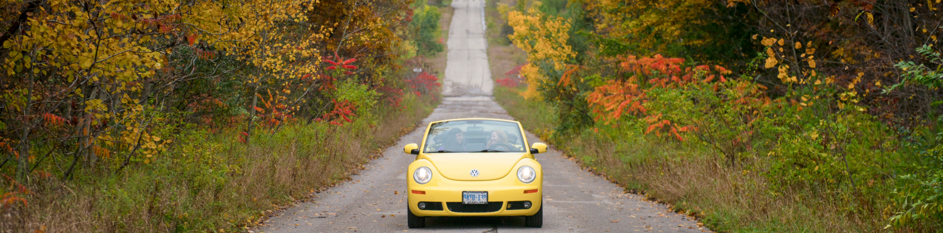 Une Volkswagen Beetle jaune roule sur une route bordée d'arbres dans le parc urbain national de la Rouge en automne.