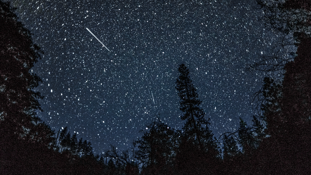 Night sky with stars and streaks surrounded by darkened trees. 