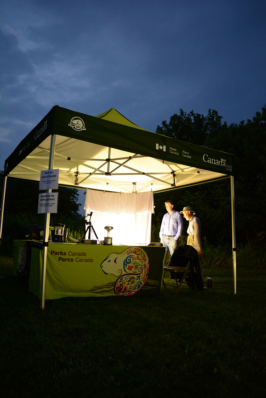 Moth Night at Rouge National Urban Park