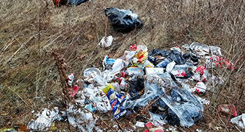 Dumping 1