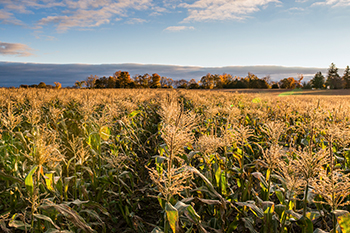 Protection or celebration of natural, cultural or agricultural heritage