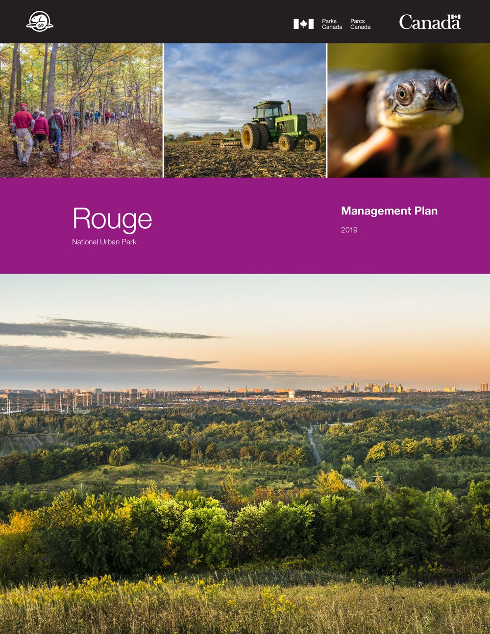 Management Plan cover image