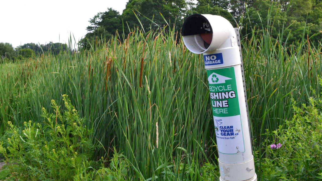 A fishing line recycling receptacle at Rouge Beach. The receptacle is a white and green cylindrical container with an opening at the top where tangled fishing lines are visible. The container has a label that reads "RECYCLE FISHING LINE HERE" and features a logo of a bird with the text "CLEAN YOUR GEAR." There is also a small sign that says "NO GARBAGE."