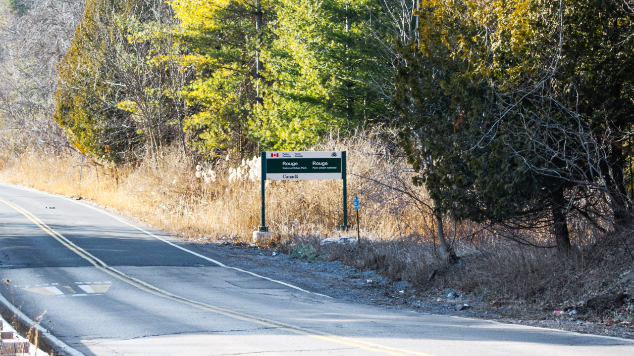 A rural road with a double yellow line runs through a forested area. On the right side of the road, there is a green sign indicating you are driving through Rouge National Urban Park, featuring both English and French text. The surrounding trees include both green foliage and bare branches.
