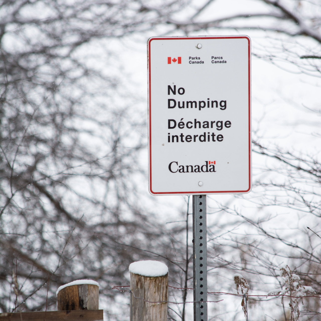 A Parks Canada sign in Rouge National Urban Park reads “No Dumping / Décharge interdite.” It is mounted on a metal post in a snowy, wooded area.