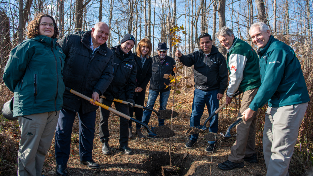 Eight people in outdoor clothing stand in a forested area with bare trees during an announcement at Rouge National Urban Park. They hold shovels, and a small tree sapling is planted in front of them.