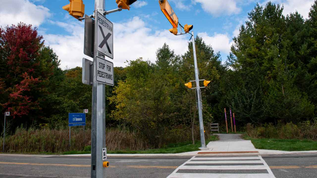 Pedestrian crossing in Rouge National Urban Park with white zebra stripes, traffic lights, and pedestrian signs. Trees with green and autumn foliage line the background. A blue sign on the left reads “City of Toronto.”