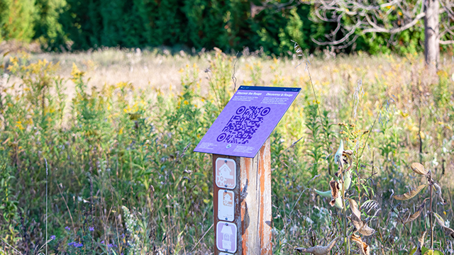 Purple informational sign with a QR code stands in a sunlit field surrounded by wildflowers and greenery.