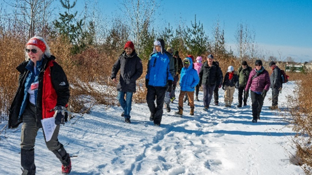Group of people dressed in winter clothing walking along a snowy trail surrounded by leafless bushes and trees under a clear blue sky.