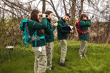 Frog monitoring