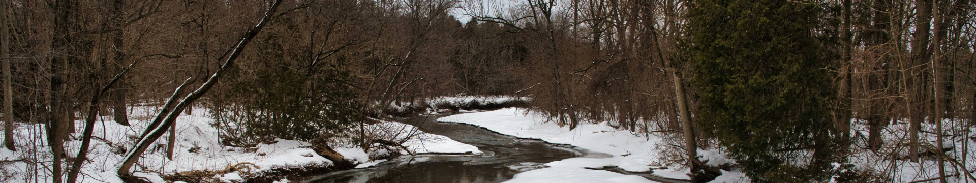 A snowy forest scene with a winding river flowing through the middle, surrounded by bare trees and patches of evergreen.