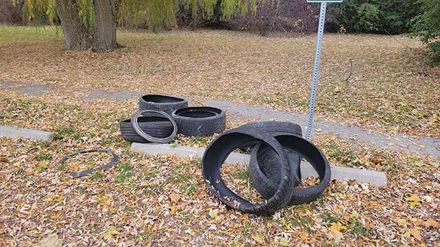 Several old car tires are piled by a path 