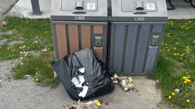  Opened trash bags with garbage strewn about in front of two garbage bins