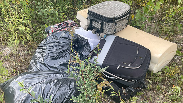 Black garbage bags, old suitcases, a foam mattress and more trash lies in a pile in long grass.