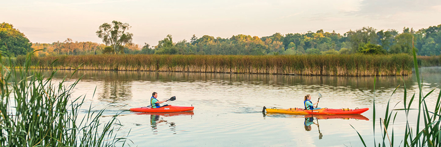 Two kayakers paddle through still waters of marsh at sunset