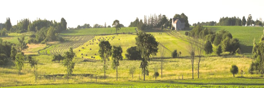 Image d’un champ agricole dans le secteur de la Rouge et image séparée d’une roue de médecine autochtone